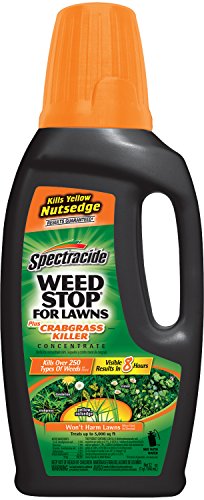 HG-96393 Weedstop Concentrate