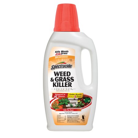 HG-96390 Grass Kill Concentrated 2