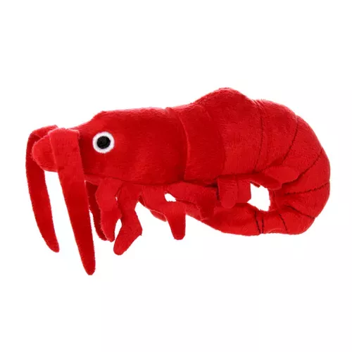 Mighty Jr Ocean Junior Red Prawn