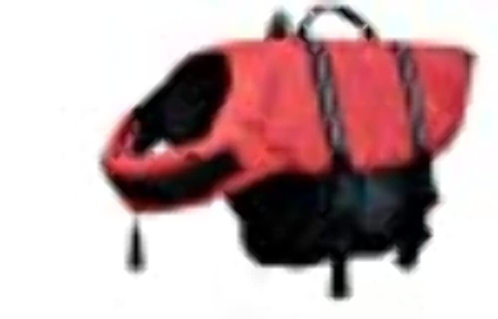 PET LIFE VEST  LARGE  4070 LBS