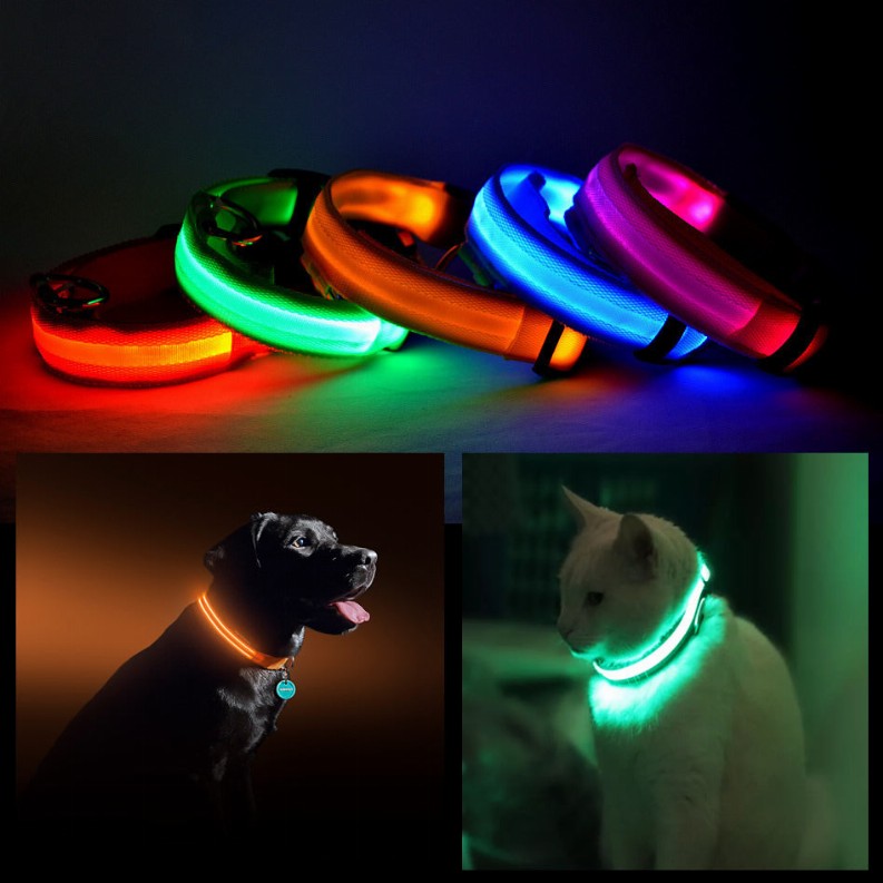 LED PET Safety Halo Style Collar - XL Orange