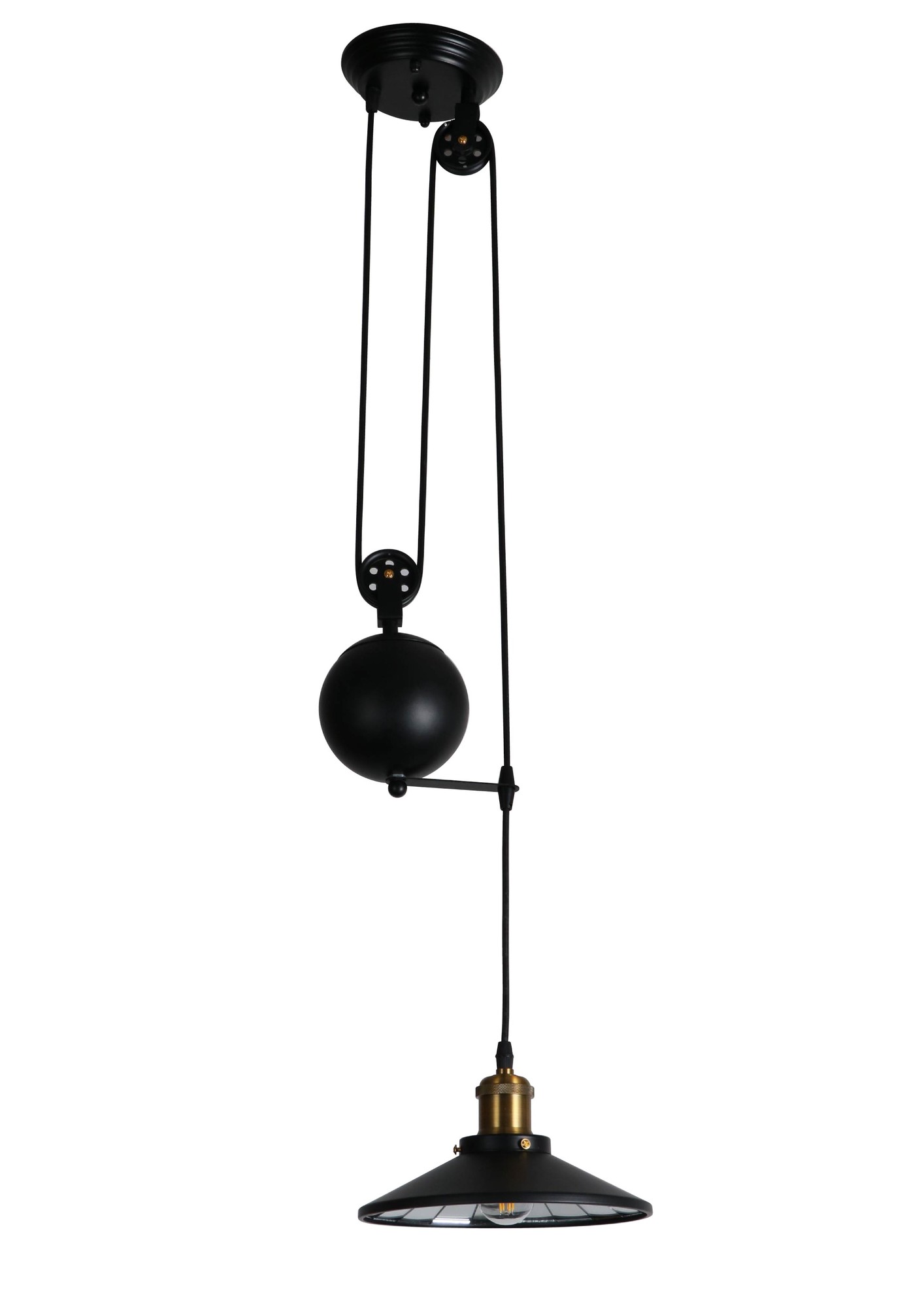 Rosmee Matte Black + Gold 1-light Pendant