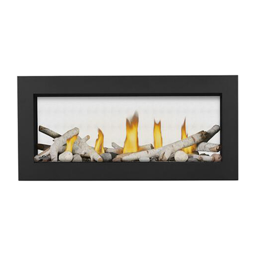 Napoleon Vector 38 See-Through Direct Vent Electronic Ignition Natural Gas Fireplace - LV38N2-1