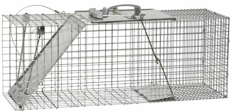 1085 Raccoon Sized Trap