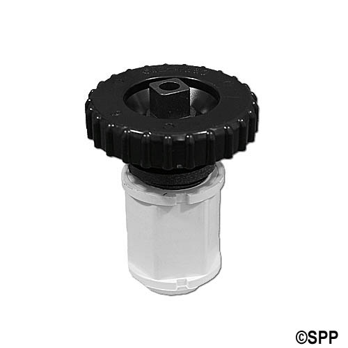 Valve Plunger Assembly, Valve, On/Off, Waterway, 1" Black w/ Plunger & Cap