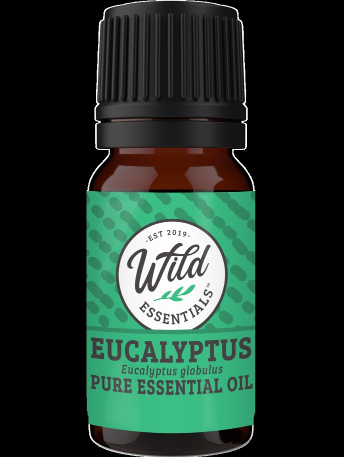 Essential Oils (Single Note) - Eucalyptus