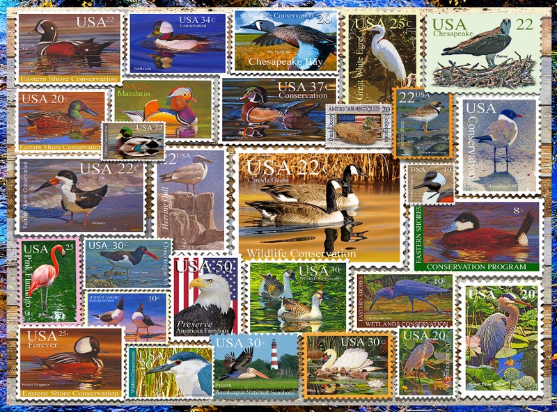 Birds of Our Shores Stamps 1000-Piece Puzzle