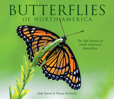 Butterflies of North America