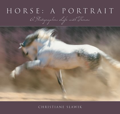 Horse: A Portrait