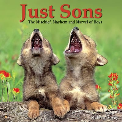 Just Sons