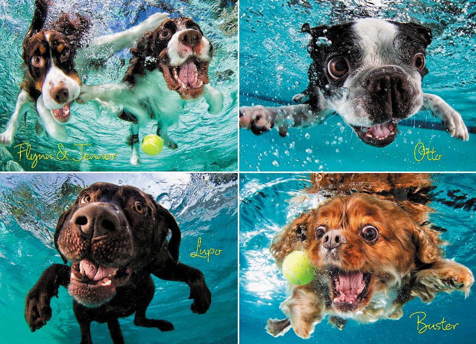 Underwater Dogs: Ruff Water 1000-Piece Puzzle