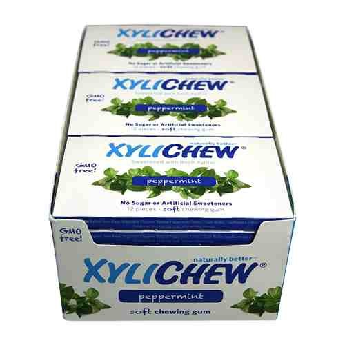 Xylichew Peppermint Gum, Display (24x12 PC)