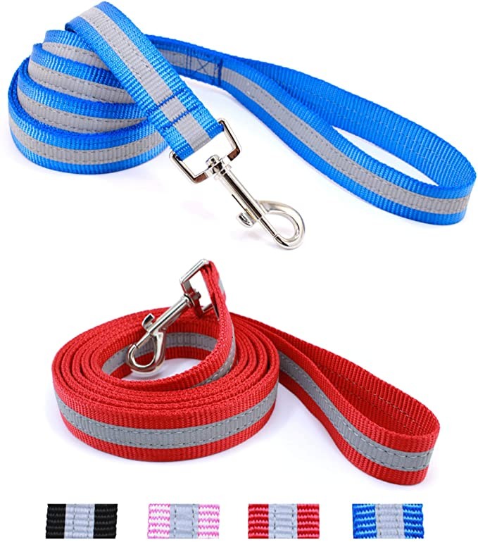 Da Boon Original Double-Sided Reflective Leash - Blue