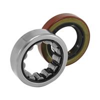 AXLE BEARING & SEAL KIT