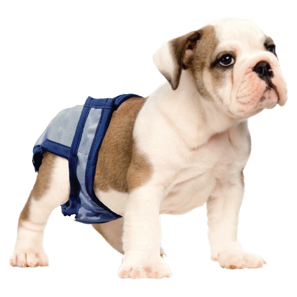 Zorbipad ZPSM01 Zorbipant Reusable Dog Diaper Garment