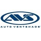 Auto Ventshade