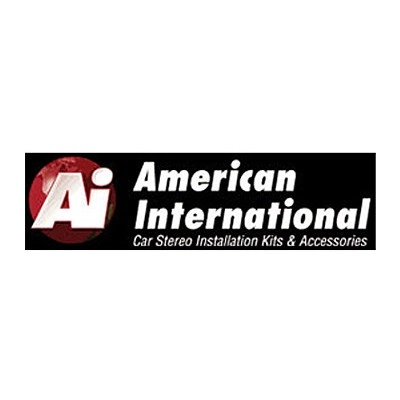 American International