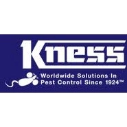 Kness