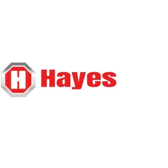 Hayes Brake Controller